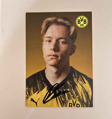 Bvb autogrammkarte daniel - bvb,
