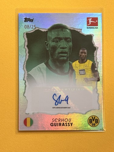 Serhou guirassy auto - serhou,