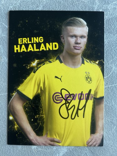 Erling haaland original - erling,