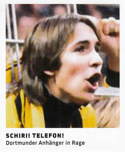 Panini sticker freunde - panini,